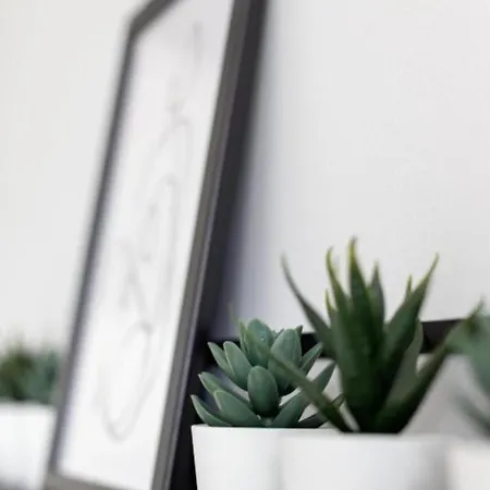 公寓 Artstay Centrum